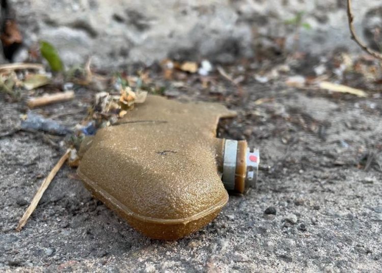 Взрывоопасный объект найден на территории мечети в Донецке ПФМ-1 Лепесток
