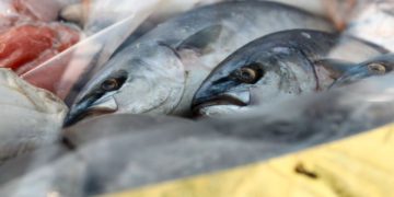 Азовское-море-признают-внутренним-водоёмом-РФ