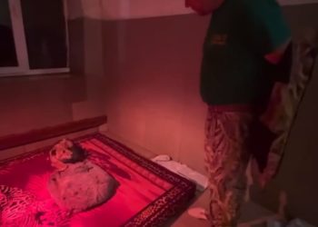 Львёнок-из-столицы-ДНР-прибыл-на-постоянное-место-жительства-в-Крым