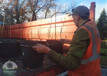 В-Макеевке-высадили-более-ста-деревьев-будущего