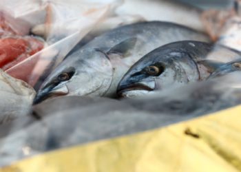 Азовское-море-признают-внутренним-водоёмом-РФ