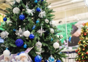 В-цирке-«Космос»-отменено-новогоднее-шоу-из-за-угрозы-ракетного-удара