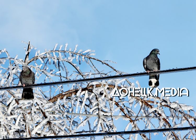 Донецкая зима в объективе фотокамеры Зима в ДНР