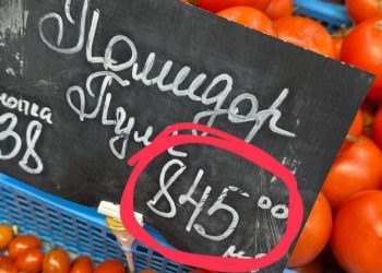 Помидор Пуля