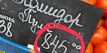 Помидор Пуля