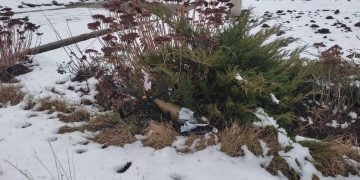 Беспилотник ВСУ атаковал сотрудников аварийной службы в Горловке