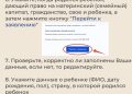 Пошаговая инструкция, как жителям ДНР оформить маткапитал онлайн
