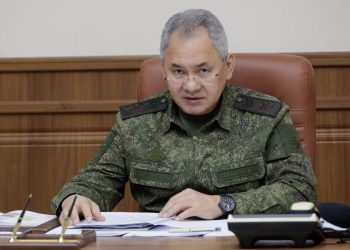 Шойгу назвал глупостью проведение новой волны мобилизации Шойгу назвал глупостью проведение новой волны мобилизации