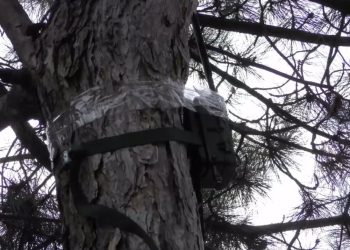 СБУ следила за передвижением поездов в Амвросиевском районе