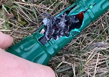 В Горловке обнаружены мины в виде фонариков  В Горловке обнаружены мины в виде фонариков