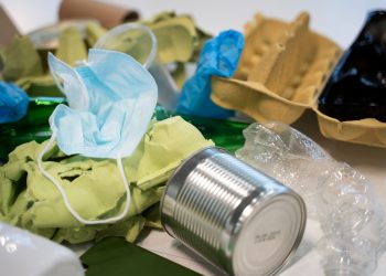 В ДНР планируют строительство завода по переработке мусора В ДНР планируют строительство завода по переработке мусора