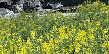 В Ставрополье упал сверхзвуковой ракетоносец-бомбардировщик Ту-22М3 В Ставрополье упал сверхзвуковой ракетоносец-бомбардировщик Ту-22М3