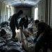 Россия вернула тела 23 погибших солдат