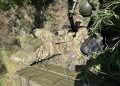 Коц: в Донбассе обнаружен труп французского боевика