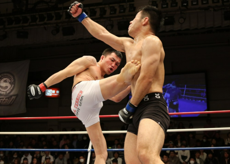 Сборная ДНР по кикбоксингу завоевала 14 медалей на Первенстве в Каспийске Сборная ДНР по кикбоксингу завоевала 14 медалей на Первенстве в Каспийске