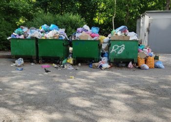 Глава ДНР снова призвал начать вывозить мусор в Донецке Мусор