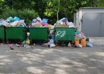 Глава ДНР снова призвал начать вывозить мусор в Донецке Мусор