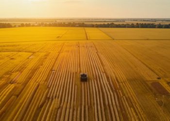 В ДНР начали использовать беспилотную авиацию для мониторинга урожая В ДНР начали использовать беспилотную авиацию для мониторинга урожая