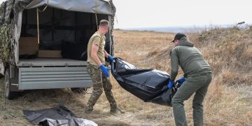 Грызуны доедают украинских солдат в полях под Работино — Рогов