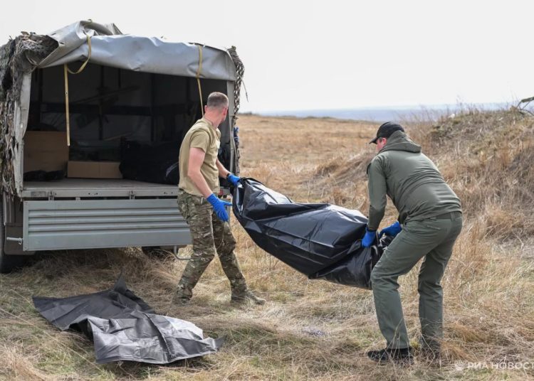 Грызуны доедают украинских солдат в полях под Работино — Рогов