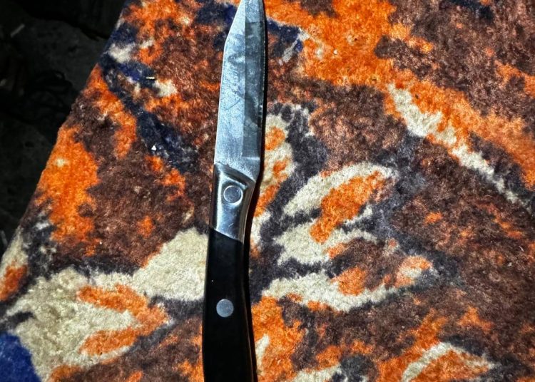 В Волновахе мужчина в соре метнул нож в супругу