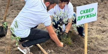 Сквер дружбы: Волноваха дарит Муравленко зелёный подарок Сквер дружбы: Волноваха дарит Муравленко зелёный подарок