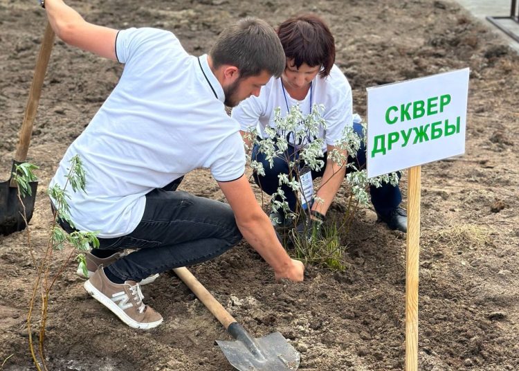 Сквер дружбы: Волноваха дарит Муравленко зелёный подарок Сквер дружбы: Волноваха дарит Муравленко зелёный подарок