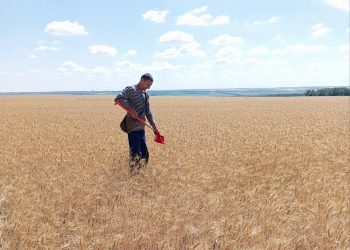 В Мариуполе идет агрохимическое обследование сельскохозяйственных земель В Мариуполе идет агрохимическое обследование сельскохозяйственных земель