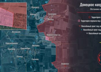 Под Авдеевкой ВС РФ пленили двух бойцов из батальона «Шквал»