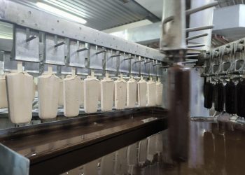 В ДНР за четыре месяца произведено 1,1 тыс. тонн мороженого