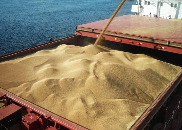 Из Мариуполя отправлено 81 тысяча тонн пшеницы в Турцию