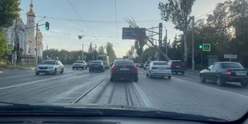 На Ленинском проспекте рухнуло дерево На Ленинском проспекте рухнуло дерево