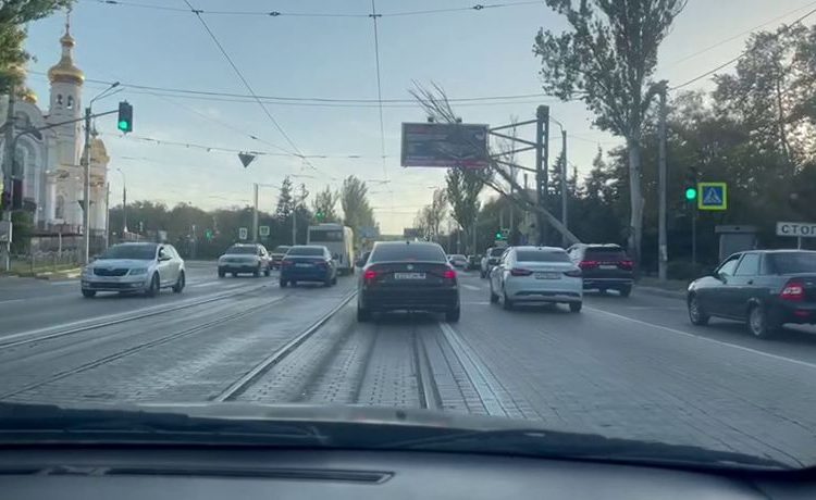 На Ленинском проспекте рухнуло дерево На Ленинском проспекте рухнуло дерево