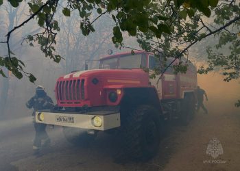 Героическая работа МЧС: Природный пожар в ЛНР полностью ликвидирован