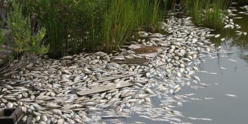 В Киеве кончается питьевая вода, Десна загрязнена химическими отходами