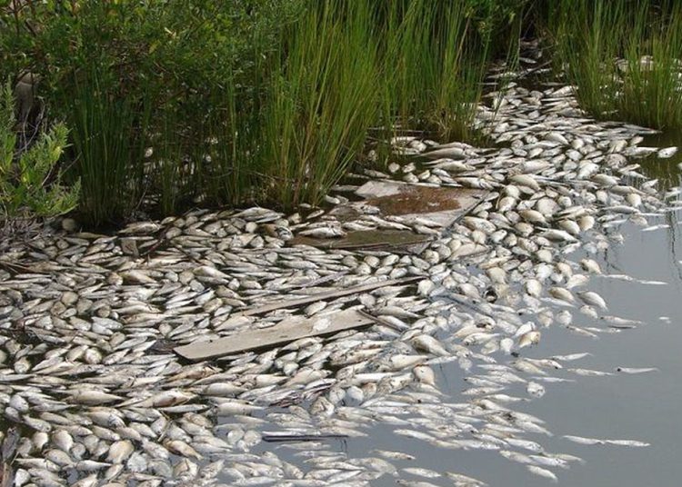 В Киеве кончается питьевая вода, Десна загрязнена химическими отходами