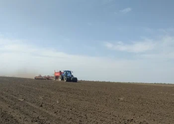 В ДНР провели проверку более 440 тысяч тонн семян на посевные качества