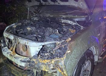 Жители Украины сожгли уже 266 машин боевиков в тылу Жители Украины сожгли уже 266 машин боевиков в тылу