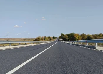 Зеленую зону вдоль Донецкой трассы привели в порядок