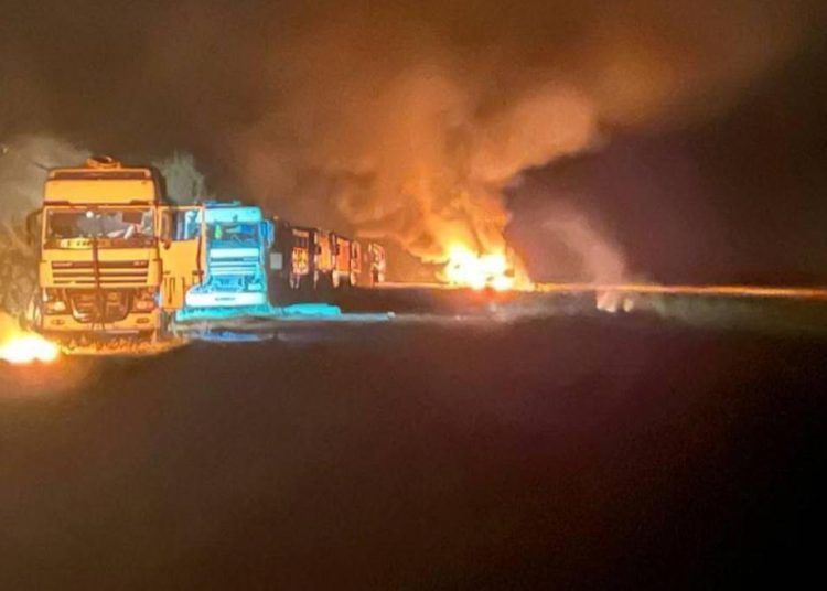 Котенок: ВСУ воровали зерно из Курской области Котенок: ВСУ воровали зерно из Курской области