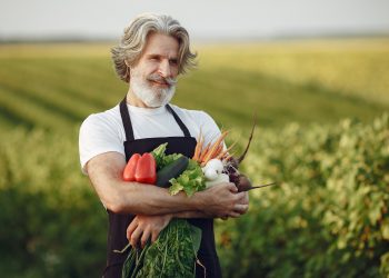 Доплаты к пенсиям для пенсионеров с сельским стажем в ДНР