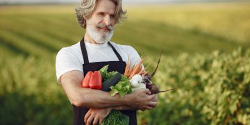 Доплаты к пенсиям для пенсионеров с сельским стажем в ДНР Доплаты к пенсиям для пенсионеров с сельским стажем в ДНР