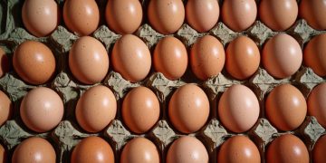С начала года в ДНР произведено 223 млн яиц Яйца