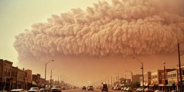 Пылевые бури в ДНР: угроза здоровью и урожайности — как защитить почву Пылевые бури в ДНР: угроза здоровью и урожайности — как защитить почву