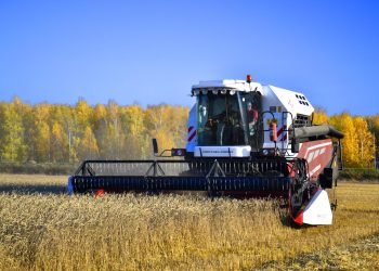 Завершение уборочной кампании в ДНР: успехи и результаты