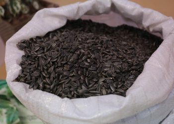 Аграрии ДНР завершили уборку зерновых