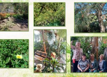 Детские ботанические сады: новый подход к профориентации в ДНР