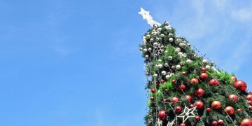 В Луганске с 5 ноября перекроют Театральную площадь для установки новогодней ёлки В Луганске с 5 ноября перекроют Театральную площадь для установки новогодней ёлки