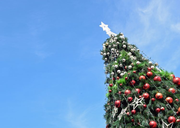 В Луганске с 5 ноября перекроют Театральную площадь для установки новогодней ёлки В Луганске с 5 ноября перекроют Театральную площадь для установки новогодней ёлки