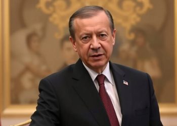Эрдоган надеется на сотрудничество с США для урегулирования кризиса на Украине Эрдоган надеется на сотрудничество с США для урегулирования кризиса на Украине